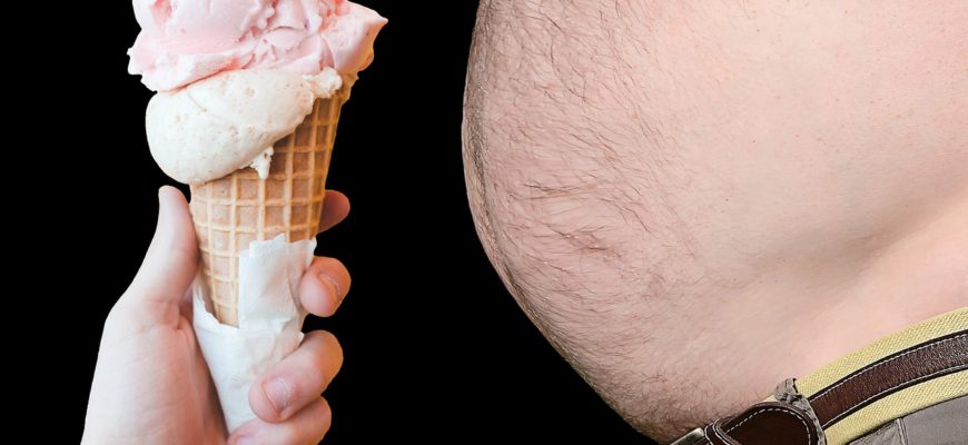 Obesity Fat Diet Obese Overweight  - Tumisu / Pixabay